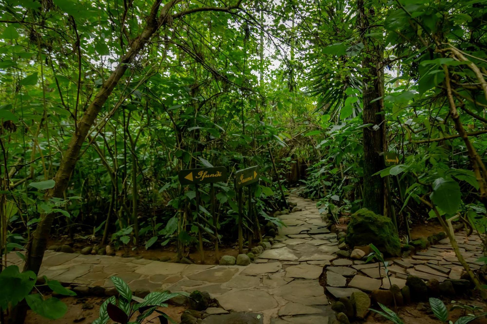 Fravan Eco Resort By Apogee Ruhengeri ภายนอก รูปภาพ