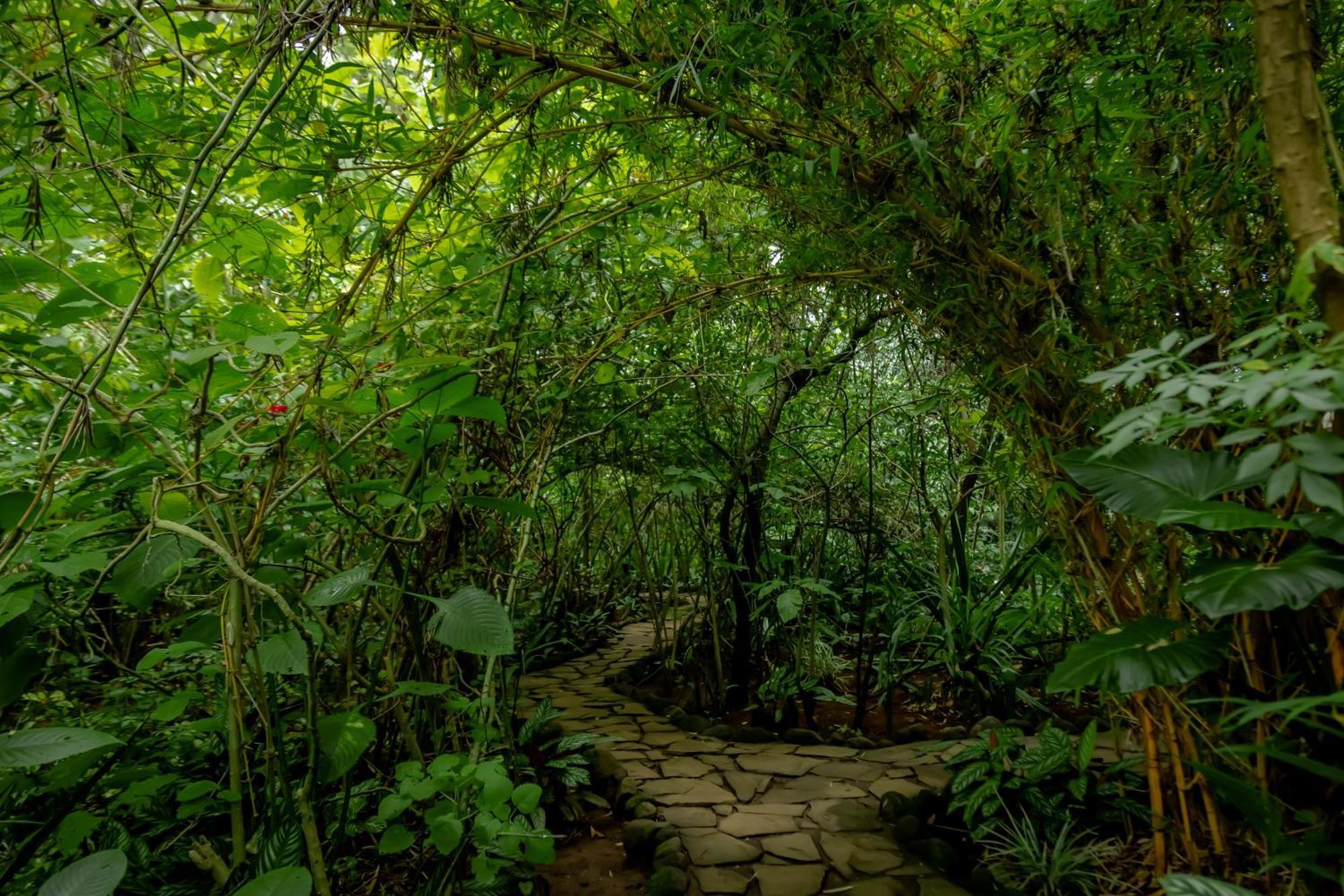 Fravan Eco Resort By Apogee Ruhengeri ภายนอก รูปภาพ
