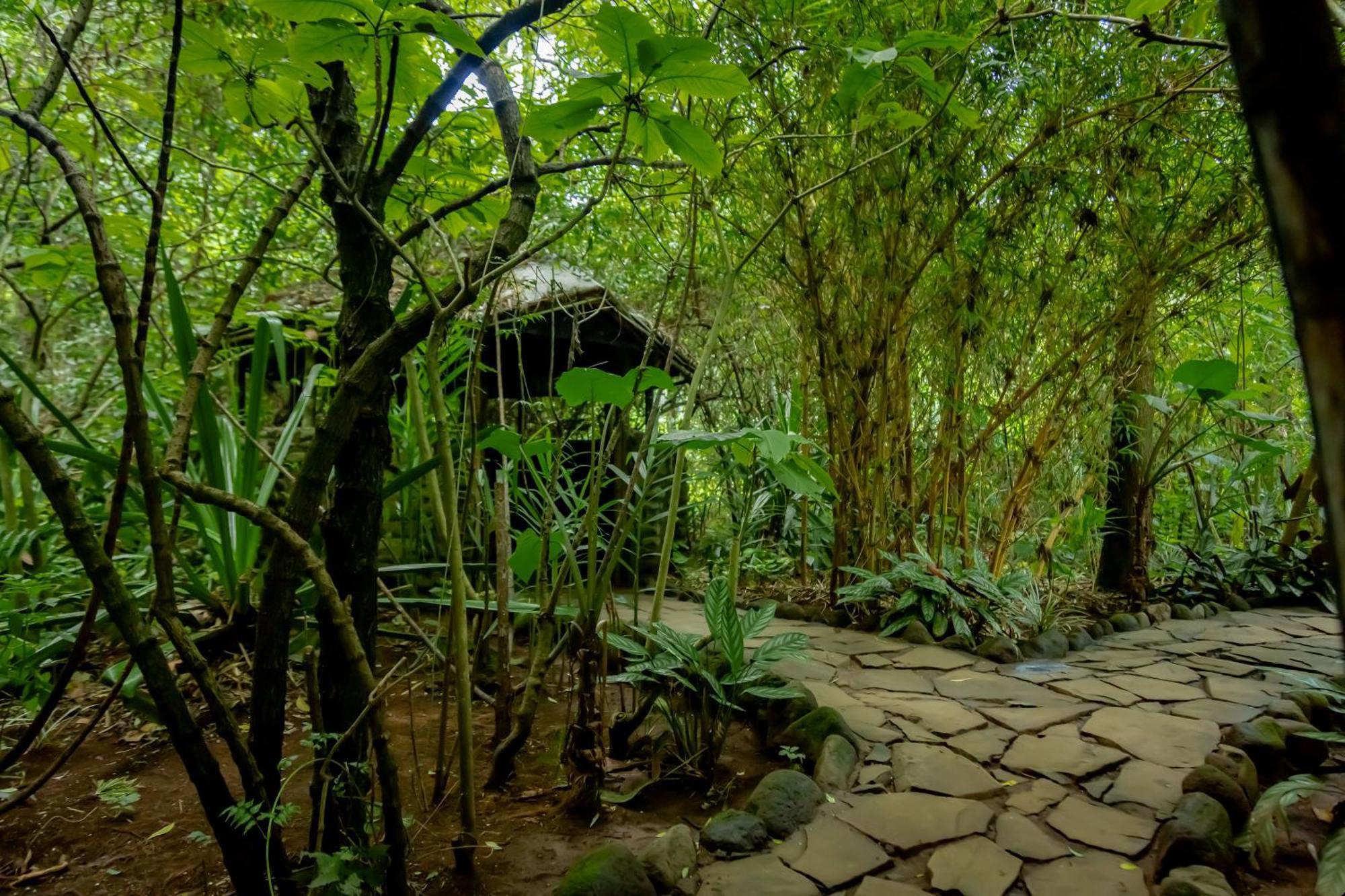Fravan Eco Resort By Apogee Ruhengeri ภายนอก รูปภาพ