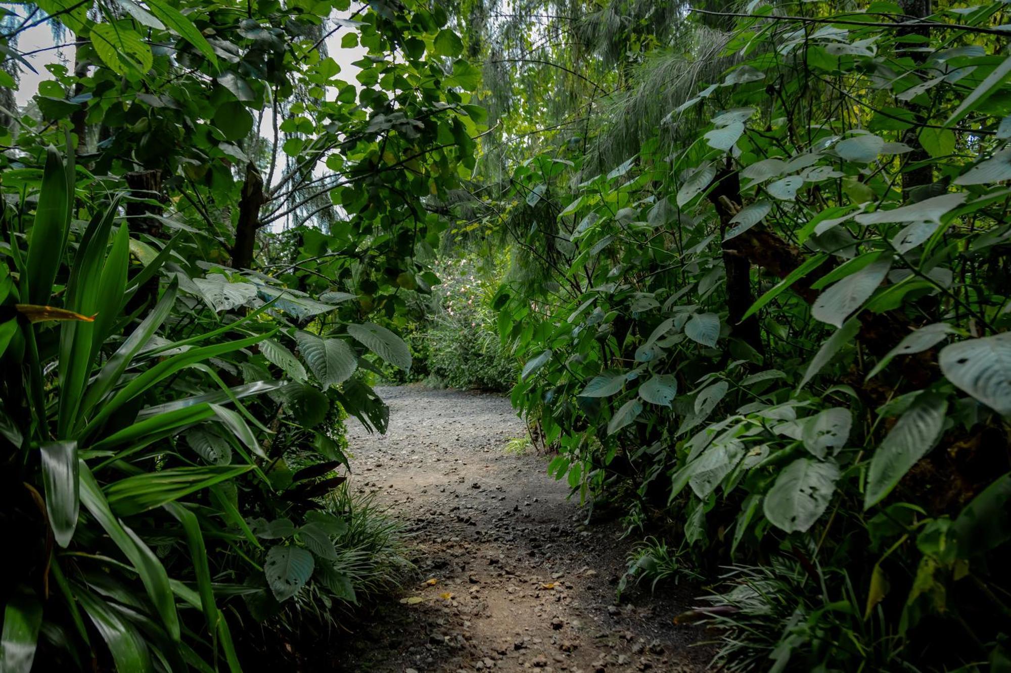 Fravan Eco Resort By Apogee Ruhengeri ภายนอก รูปภาพ