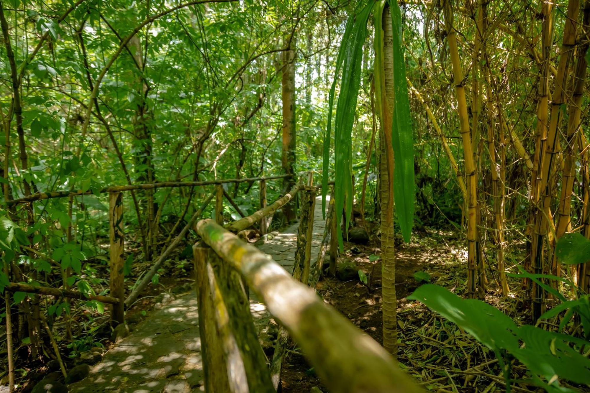 Fravan Eco Resort By Apogee Ruhengeri ภายนอก รูปภาพ