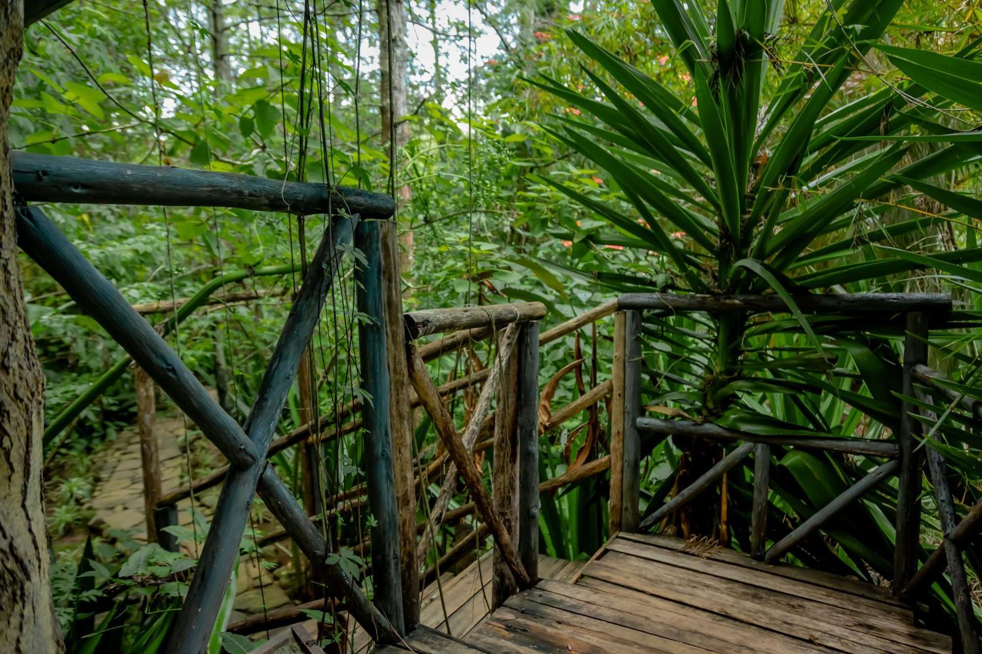 Fravan Eco Resort By Apogee Ruhengeri ภายนอก รูปภาพ