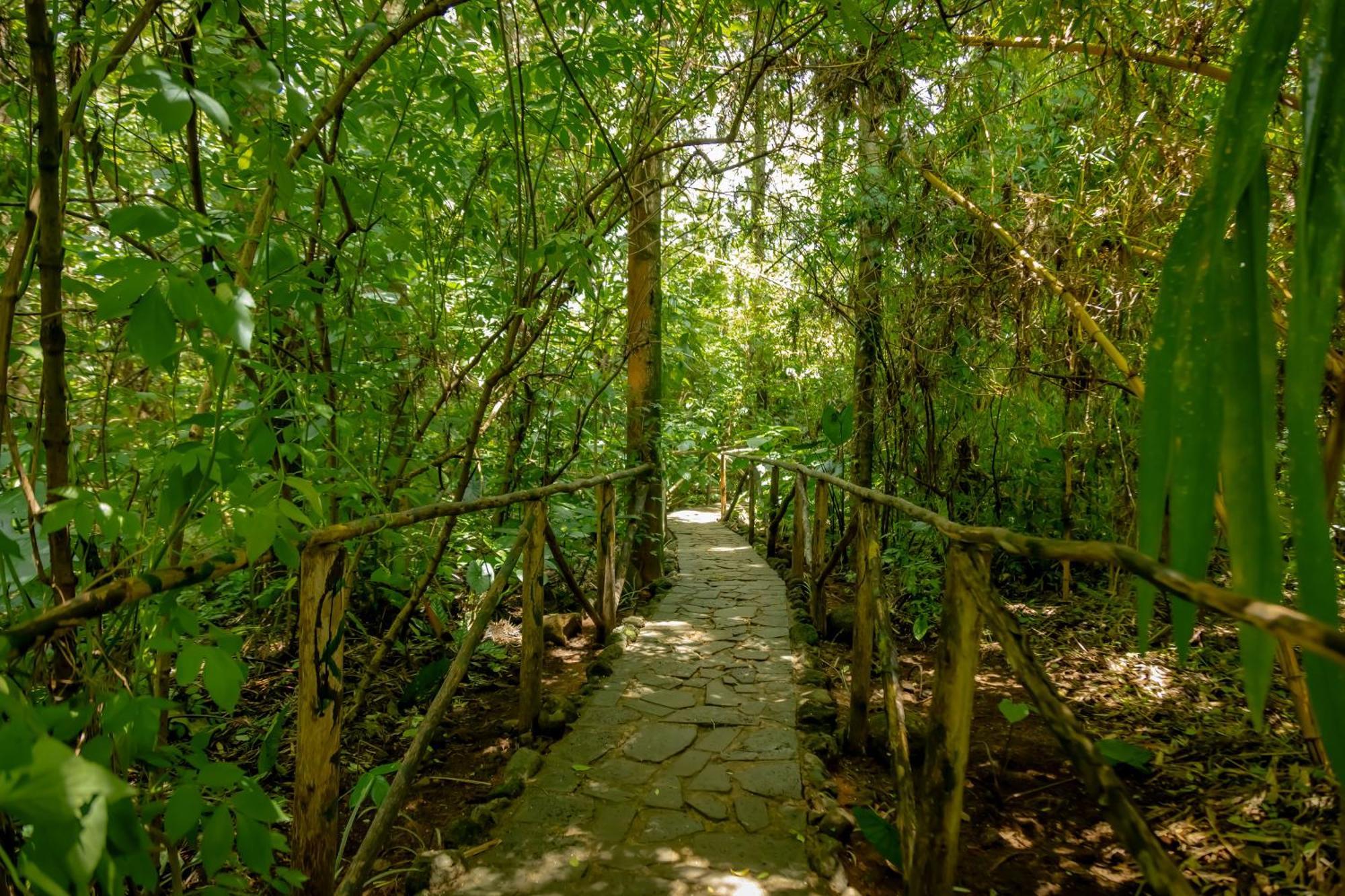 Fravan Eco Resort By Apogee Ruhengeri ภายนอก รูปภาพ