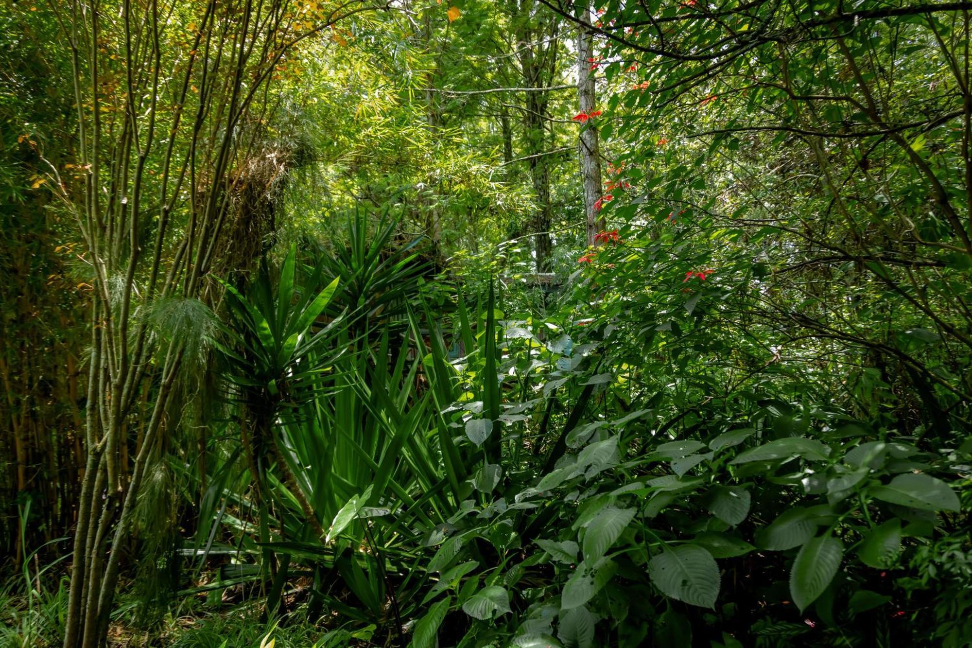 Fravan Eco Resort By Apogee Ruhengeri ภายนอก รูปภาพ