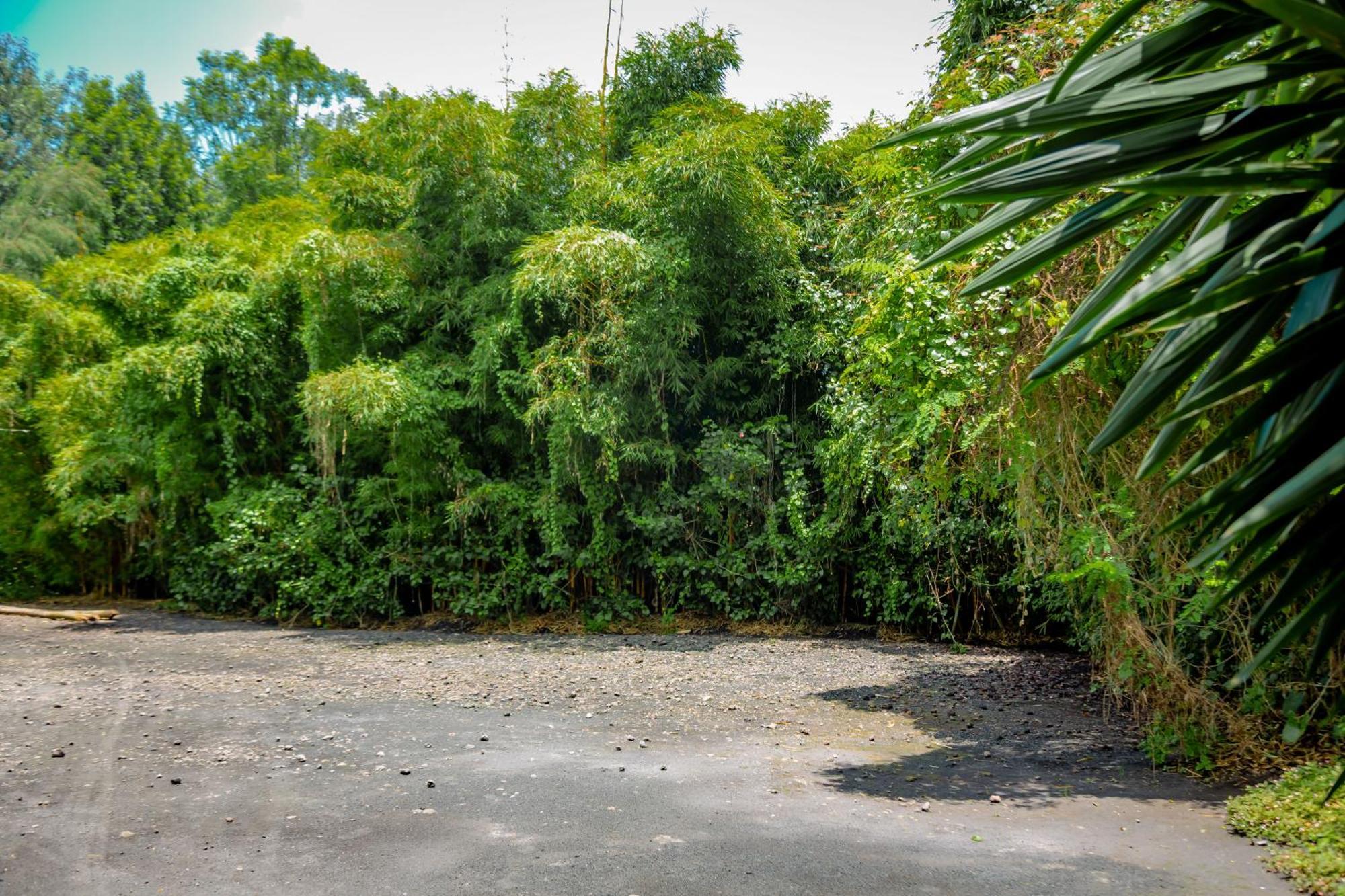 Fravan Eco Resort By Apogee Ruhengeri ภายนอก รูปภาพ