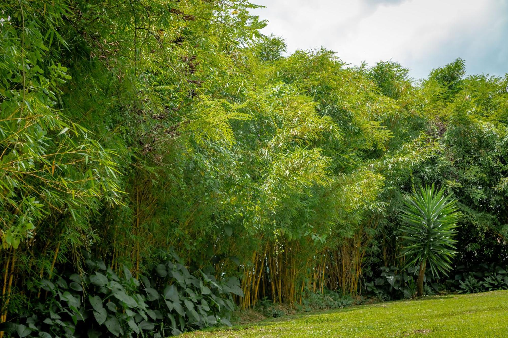 Fravan Eco Resort By Apogee Ruhengeri ภายนอก รูปภาพ