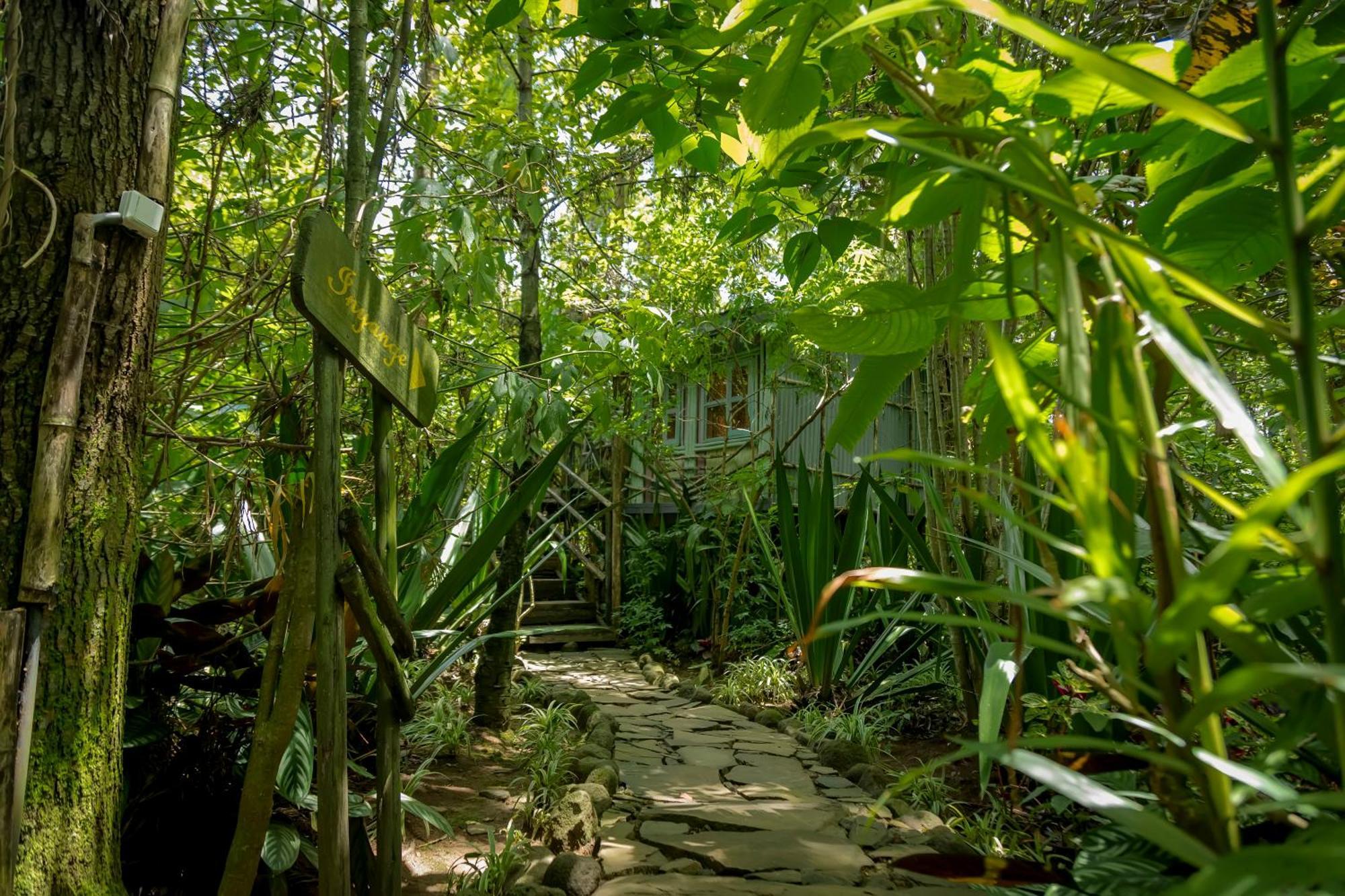 Fravan Eco Resort By Apogee Ruhengeri ภายนอก รูปภาพ